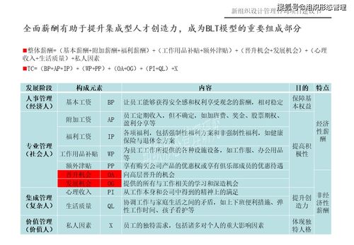 新組織設(shè)計管理咨詢項目建議書 項目策劃與公關(guān)服務(wù)